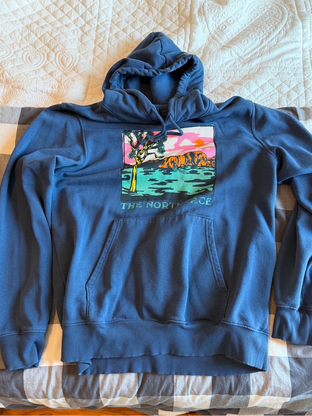 The North Face Men's Navy Crewneck Hoodie with Colorful Chest Graphic